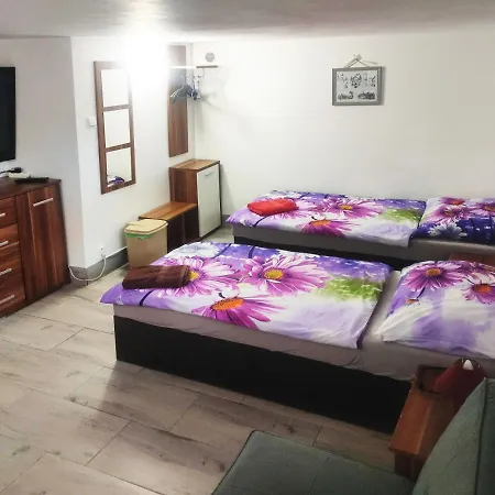 Aranka Appartamento Žatec