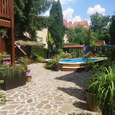 Aranka Žatec